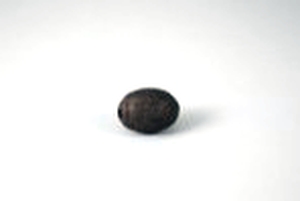 Museum am Rothenbaum. Kulturen und Künste der Welt (MARKK)