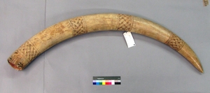 Ethnologisches Museum der Staatlichen Museen zu Berlin. Stiftung Preußischer Kulturbesitz