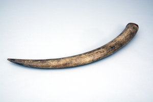 Museum am Rothenbaum. Kulturen und Künste der Welt (MARKK)